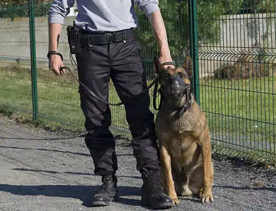 Agent de sécurité cynophile avec son chien